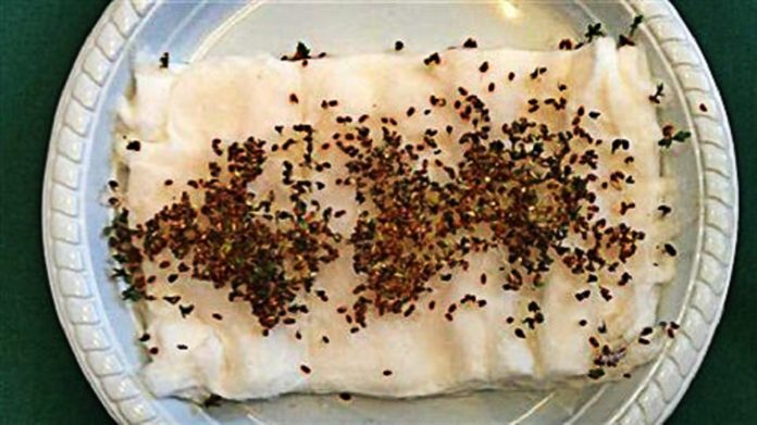 WiFi Experiment 9th Grade Students