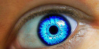 Blue Eyes Don't Exist