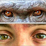 THIS Is Why You Struggle To Maintain Eye Contact With People…