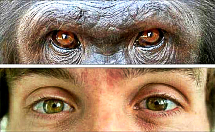 Why Struggle To Maintain Eye Contact