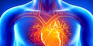 New Mindboggling Research Proves That Our Hearts Create Their Own Memories! Research Proves Our Hearts Create Memories