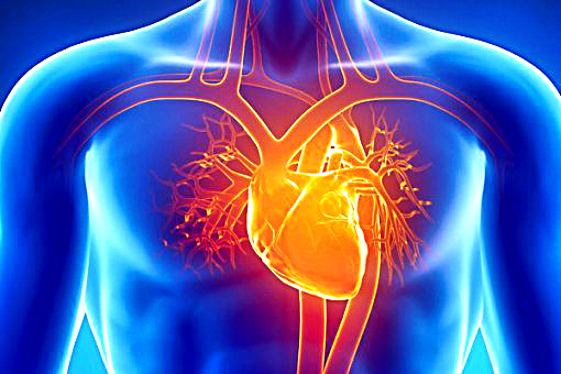 It s In The Blood Part 2 Of 11 The Heart Knows Eye Opening Truth