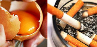 Research Eating 1 Egg Per Day Smoking 5 Cigarettes