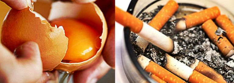 Research Eating 1 Egg Per Day Smoking 5 Cigarettes