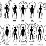 Energy Never Lies! THIS Is How To Read Other People’s Energy…