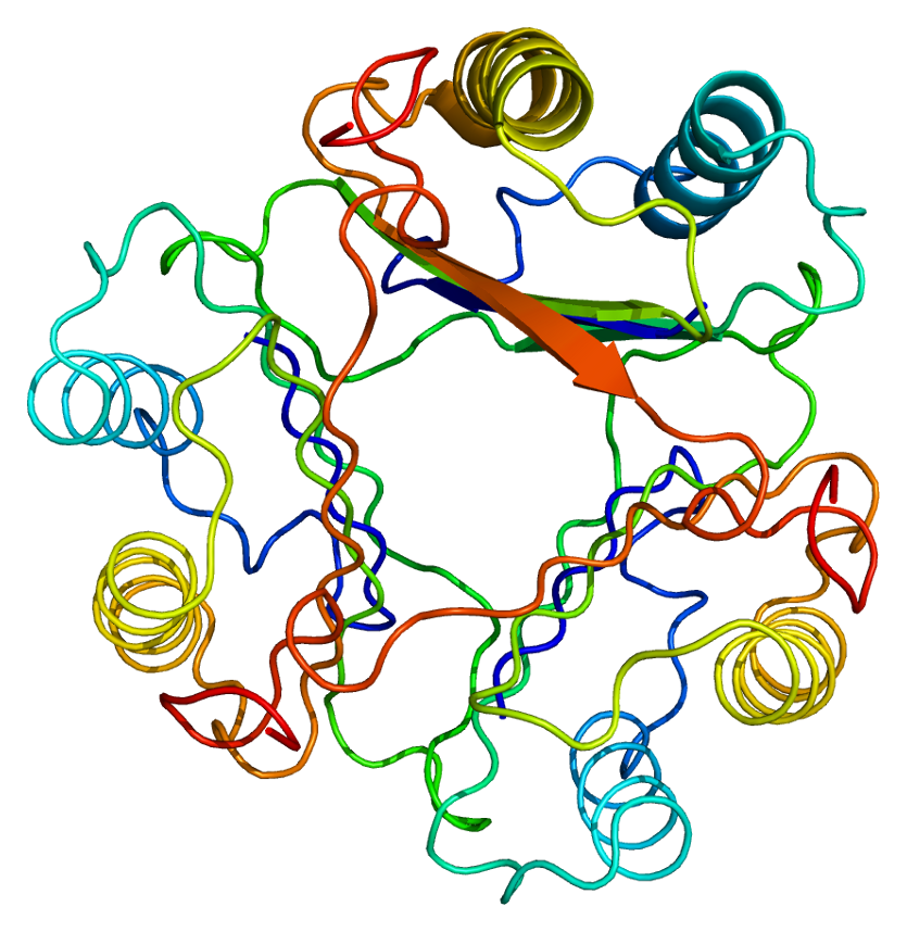 MIF Enzyme