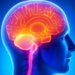 Sugar And Alzhimer’s