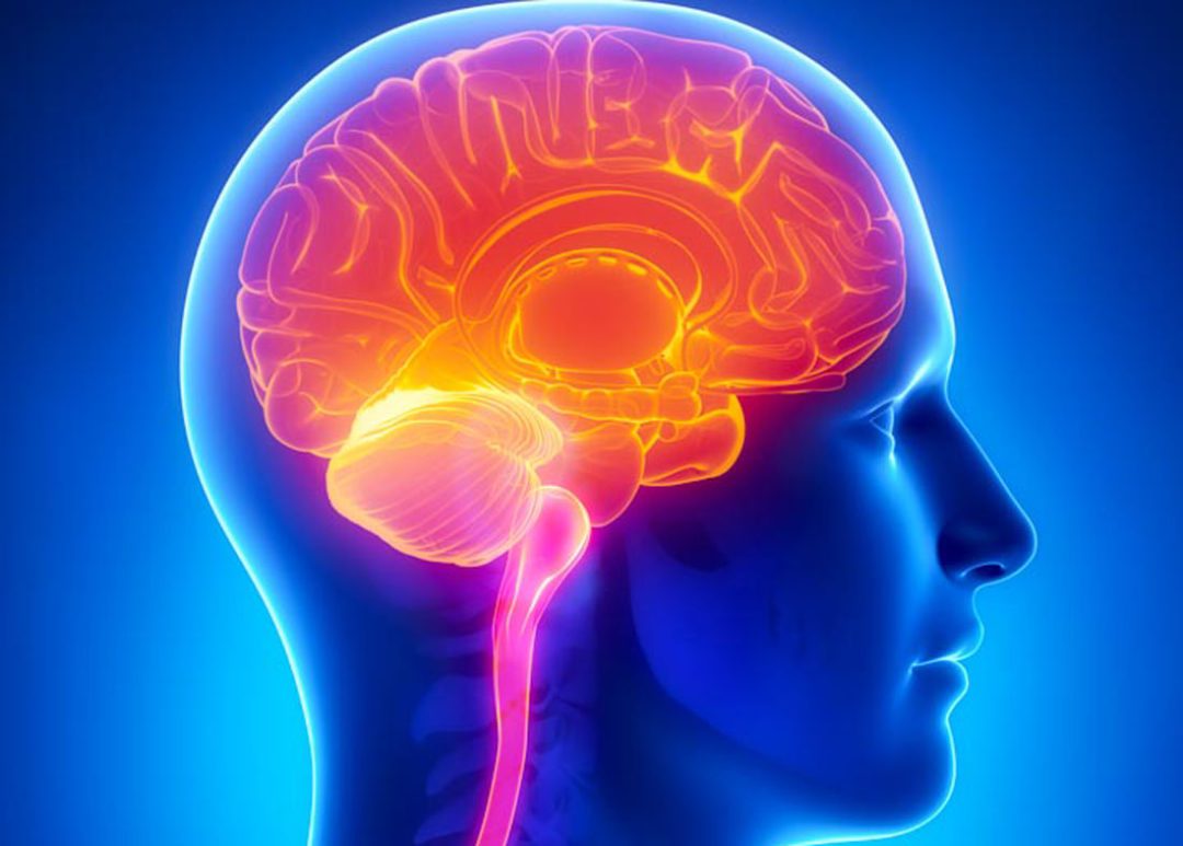 Sugar And Alzhimer's