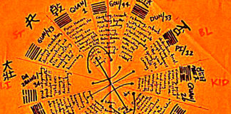 THIS Chinese Organ Body Clock Reveals When to Exercise, Eat, Love, Rest and Sleep… Chinese Organ Body Clock