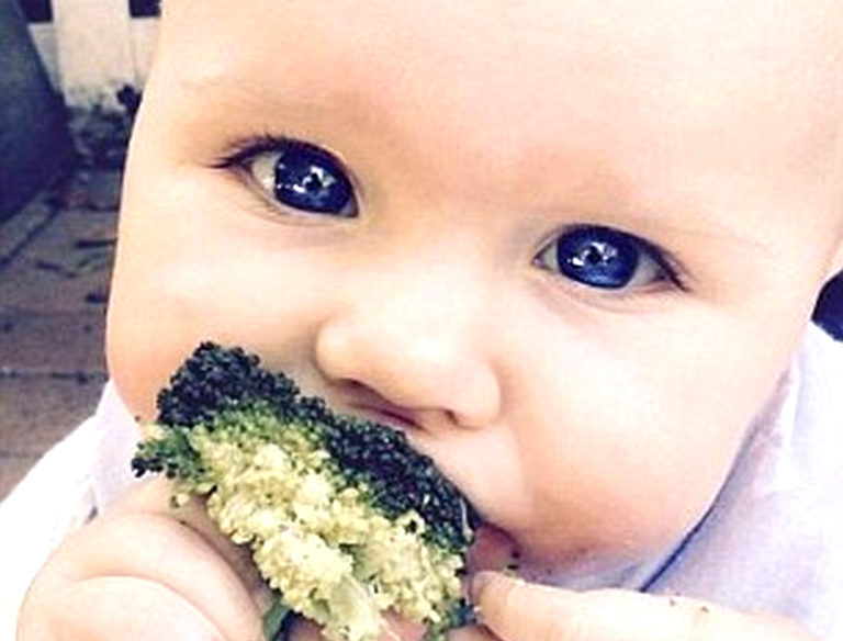 Kid Never Eaten Sugar