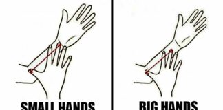 THIS Is What The Size Of Your Arm Says About Your Personality… Size Of Your Arm Personality