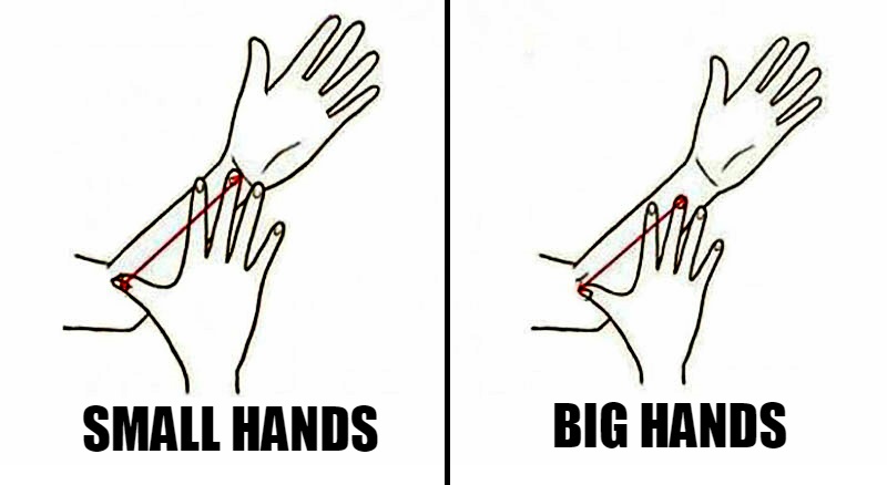 Size Of Your Arm Personality