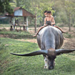 19 Breathtaking Photos That Will Show You The Magic Between Nature And The Modern World…
