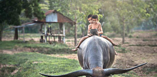 Breathtaking Photos Modern World