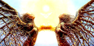 8 Signs You Are An Angel In Training Signs You Are An Angel In Training