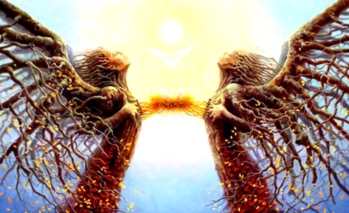 If You Experience Any Of These 8 Signs You Are An Angel In Training... Signs You Are An Angel In Training