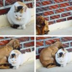 Care for others. Be compassionate.