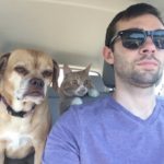 Contrasting Characters on board