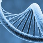 DNA and the Cosmic Serpent