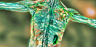 This Is The One Most Effective Way To Drain Your Lymph Glands, According To A World Travelling Doctor… Most Effective Way To Drain Your Lymph Glands