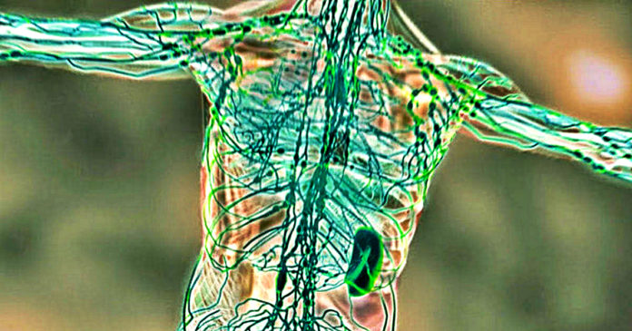 Most Effective Way To Drain Your Lymph Glands
