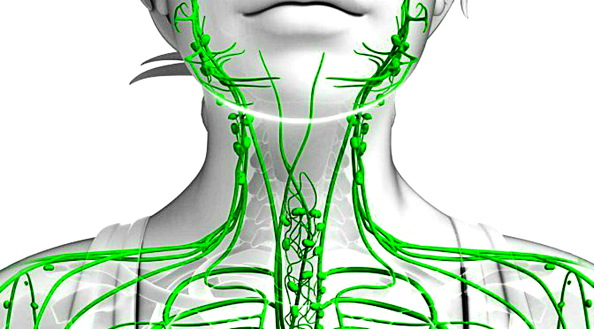 How To Drain Your Lymph Nodes Reverasite