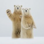 Fare thee well, love.