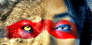 14 Messengers From the Animal Kingdom