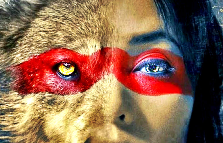 14 Messengers From the Animal Kingdom