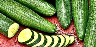 Consumed Cucumbers Every Single Day