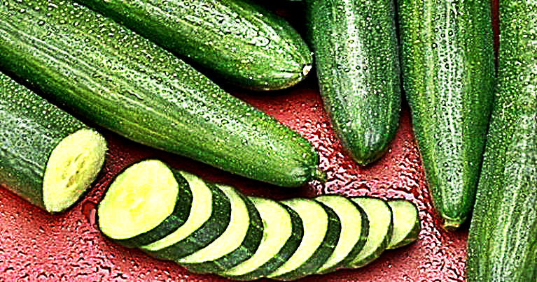 Consumed Cucumbers Every Single Day