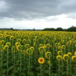 Rebelling against the societal constructs