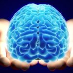 The Structure of Only Child Brain