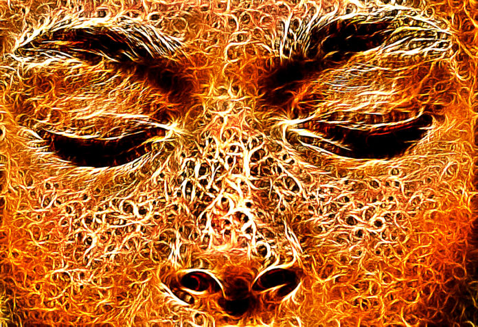 5 Things Blocking Your Psychic Powers