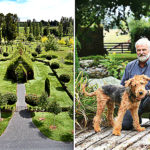 This Guy Spent 4 Years Growing A Church From Trees