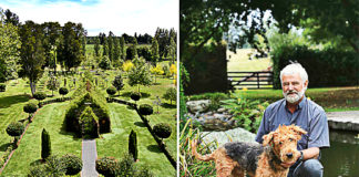 Growing Church From Trees