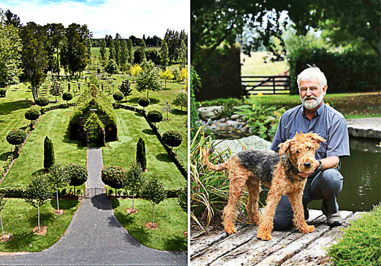 Growing Church From Trees