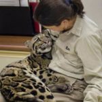 To err is human, to love, divine.