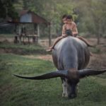 Transcendental time. The old and the new.