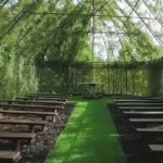 Tree Church 4