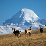 Most Beautiful Places On Earth 12.-Mount-Kailash-GC¦зo¦В-Transhimalaya-Mountain-Range-Tibet