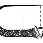 New Scientific Theory Suggests That The Universe Is Conscious And We Are A Part Of A Giant Mind!