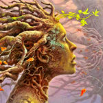 10 Signs You Are Walking Your Highest Path