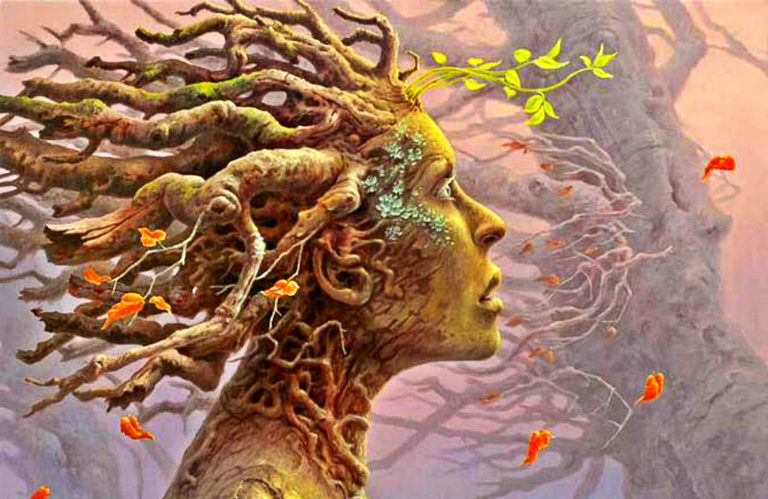 Signs You Are Walking Your Highest Path