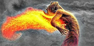 The 5 Main Causes That Make Each Lightworker Doubt Themselves And Fear The World… Main Causes That Make Each Lightworker Doubt Themselves