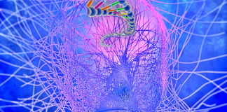 How Influence Your DNA With Thoughts