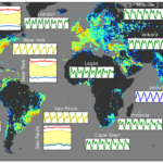 social media has synchronized human civilization