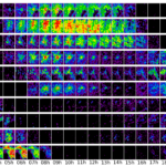 social media has synchronized humanity