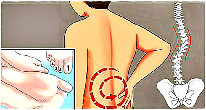 Feet Exercises Rid Of Back Pain