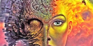 The-5-Levels-Of-Awakening-From-Mindless-Slavery-To-Complete-Freedom.-Where-Are-You-At